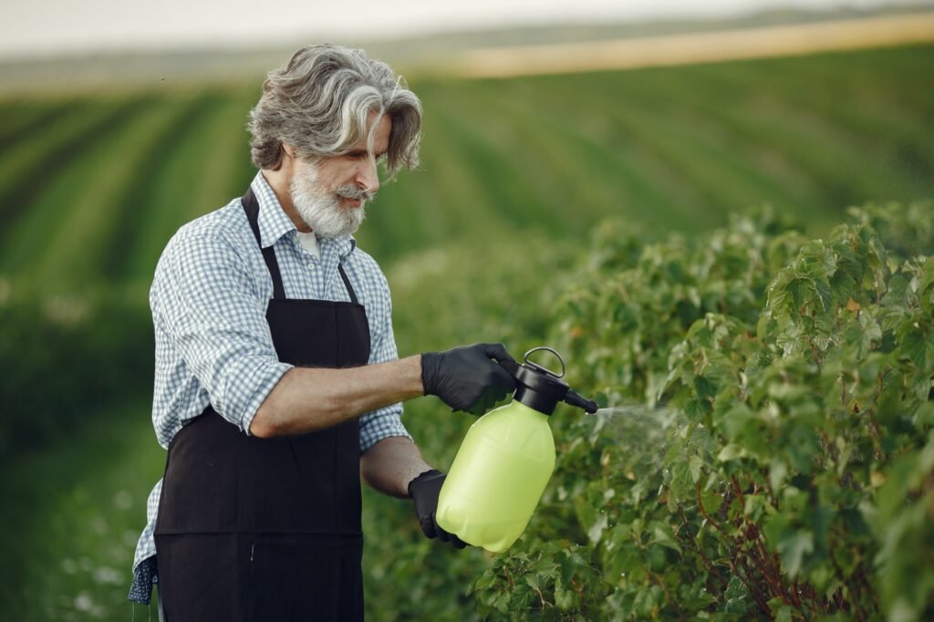 senior man watering his plants in his garden with sprinkle