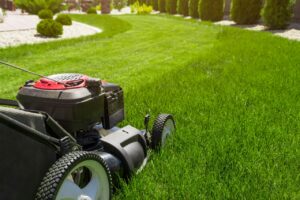 Buffalo best landscapers