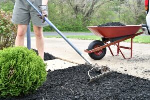 Mulch installation in buffalo NY