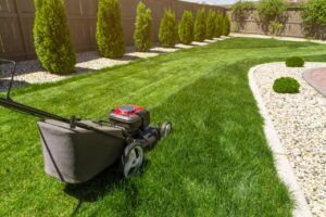 Best landscaping maintenance in buffalo ny