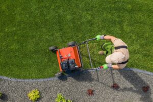 Best landscaping service near me in Buffalo