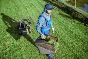 Best Lawn Mowing Service in Buffalo Ny