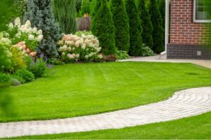 Best landscaping company in buffaloBest landscaping company in buffaloBest landscaping company in buffaloBest landscaping company in buffaloBest landscaping company in buffalo