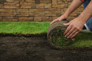 Sod Installation Services In Buffalo