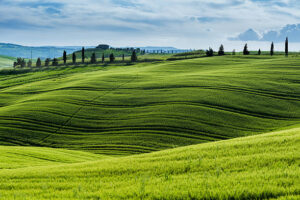 Hillside Landscaping