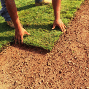 sod installation near me, Sod installation in buffalo ny, professional sod installers,