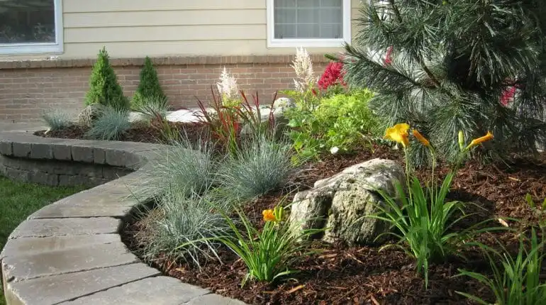 Best Professional Landscaping Service in Buffalo