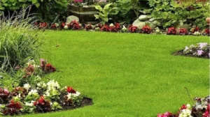 Gardening and Landscaping Services Company in Buffalo NY