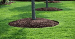 Mulch Installation in Buffalo NY