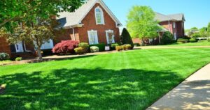 Landscaping Buffalo NY: What is the Function of Landscaping?