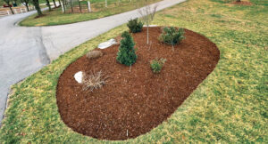 Mulch Installation in Buffalo NY