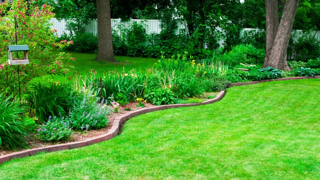 Optimize Your Buffalo Lawn with Professional Irrigation Systems