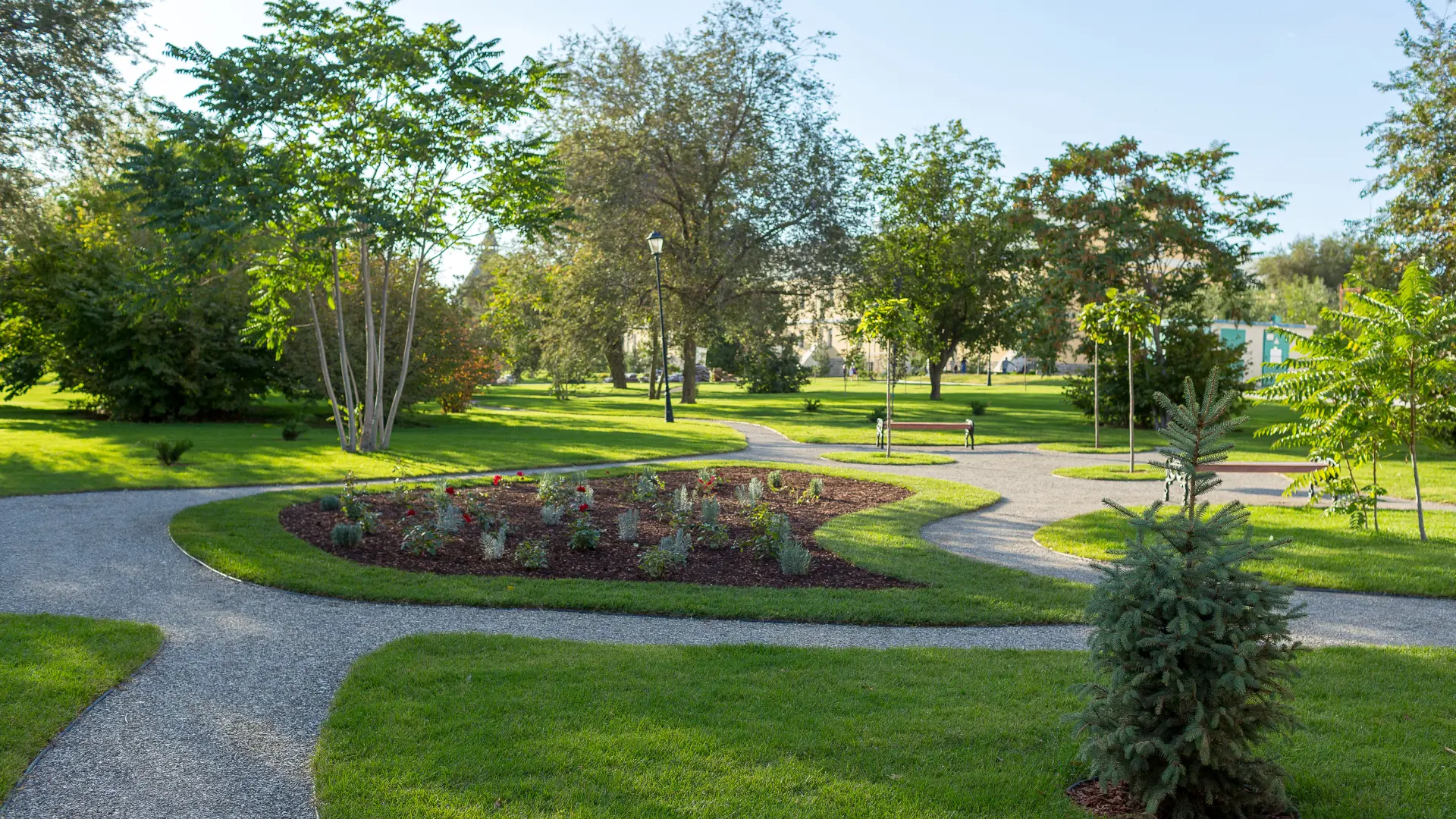Keep Your Buffalo Garden Pest-Free with Expert Solutions