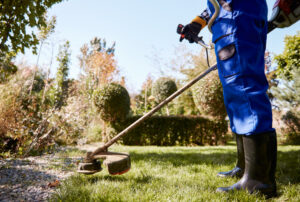 Expert Lawn Mowing and Garden Care Services in Buffalo