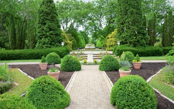 Local landscaping service near me