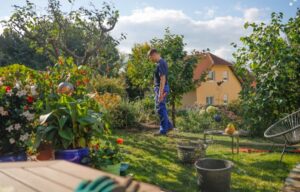 landscaping services Buffalo NY