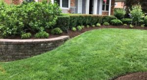 full service lawn care Buffalo NY