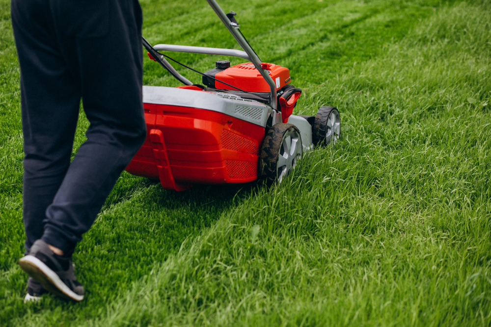 Reliable weekly lawn mowing services Buffalo NY