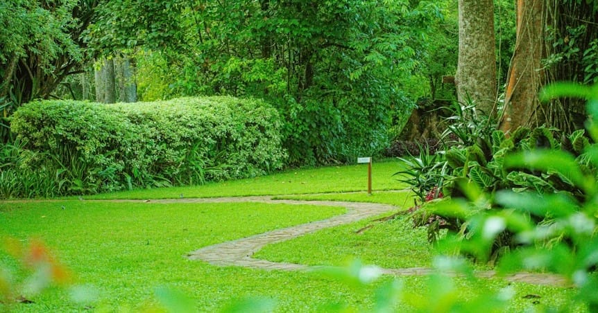 landscaping services buffalo ny