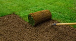 Professional Sod Installation Services in Buffalo NY