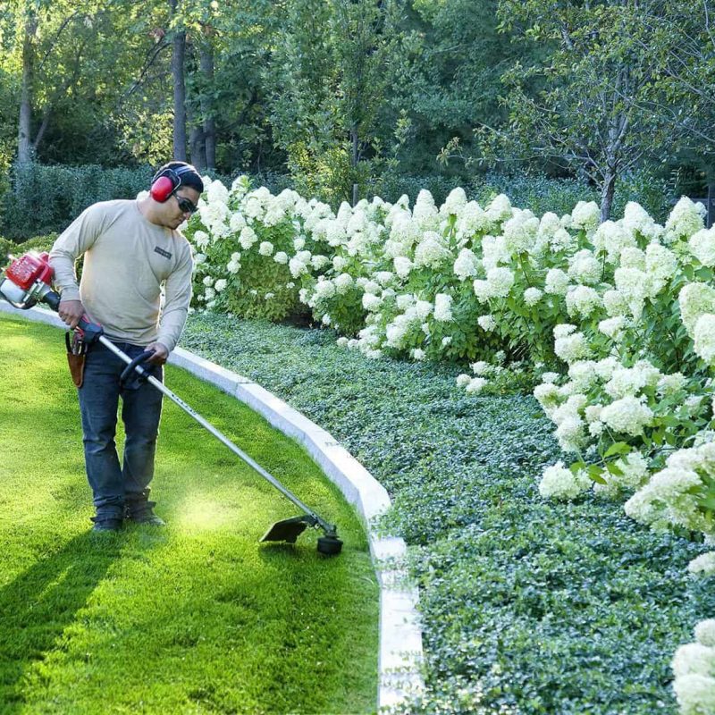 gardeners and landscapers in buffalo ny